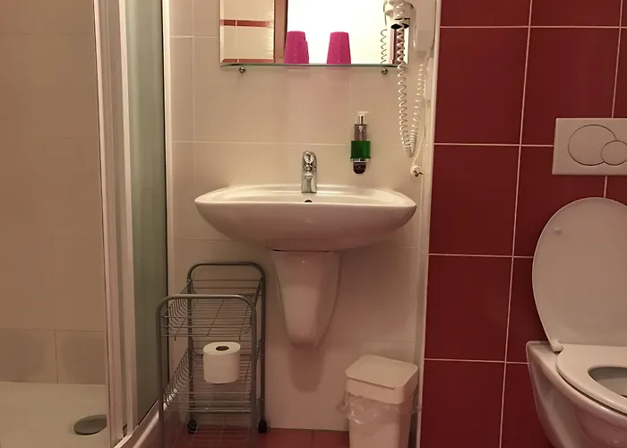 Hotel Zavis Z Falkenstejna